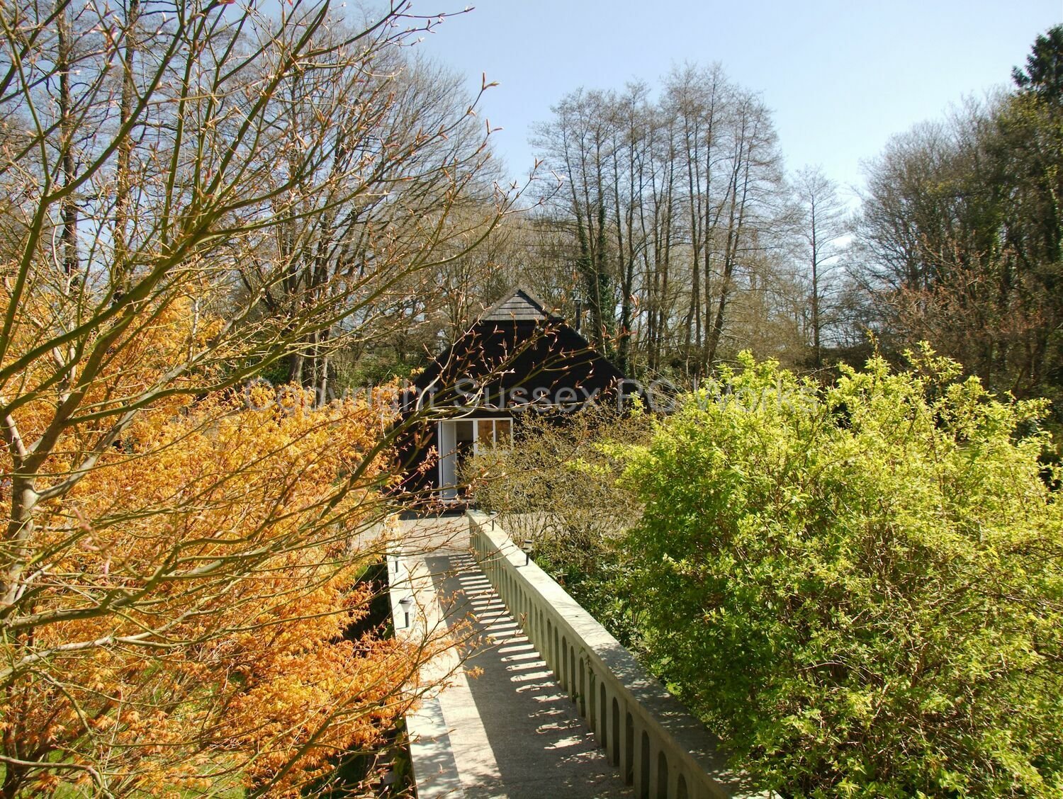 Mole Cottage - Cottage To Rent